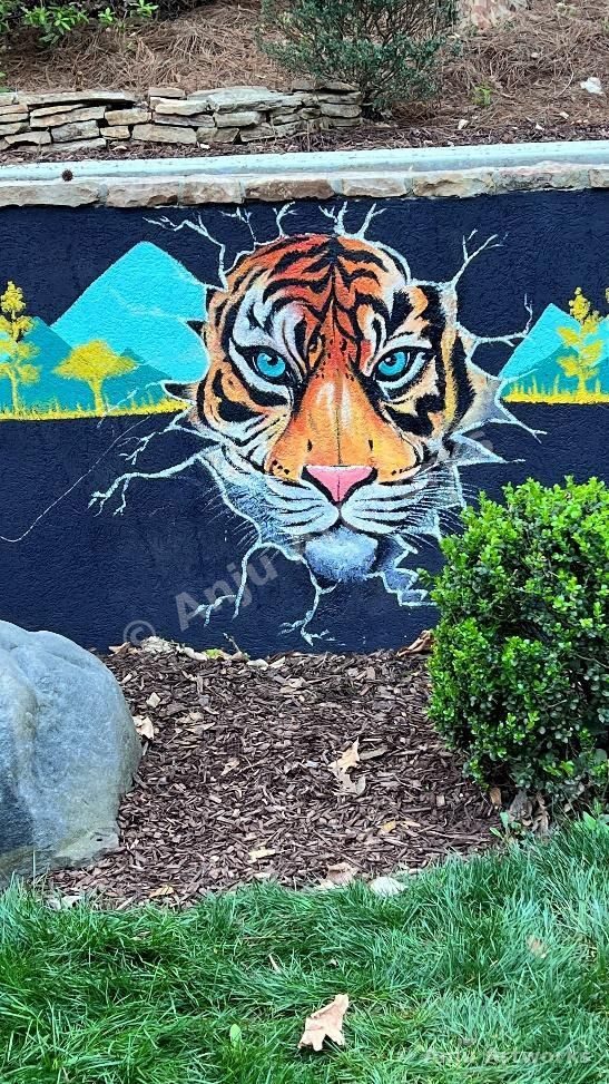 Tiger Wall Project 2023 — tiger mural painted on an outdoor wall